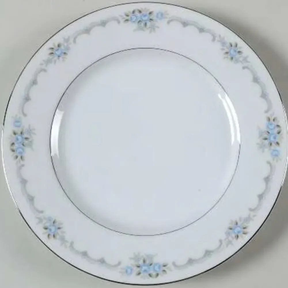 TWO Style House  anniversary dinner plates 101/2” Fine china G26